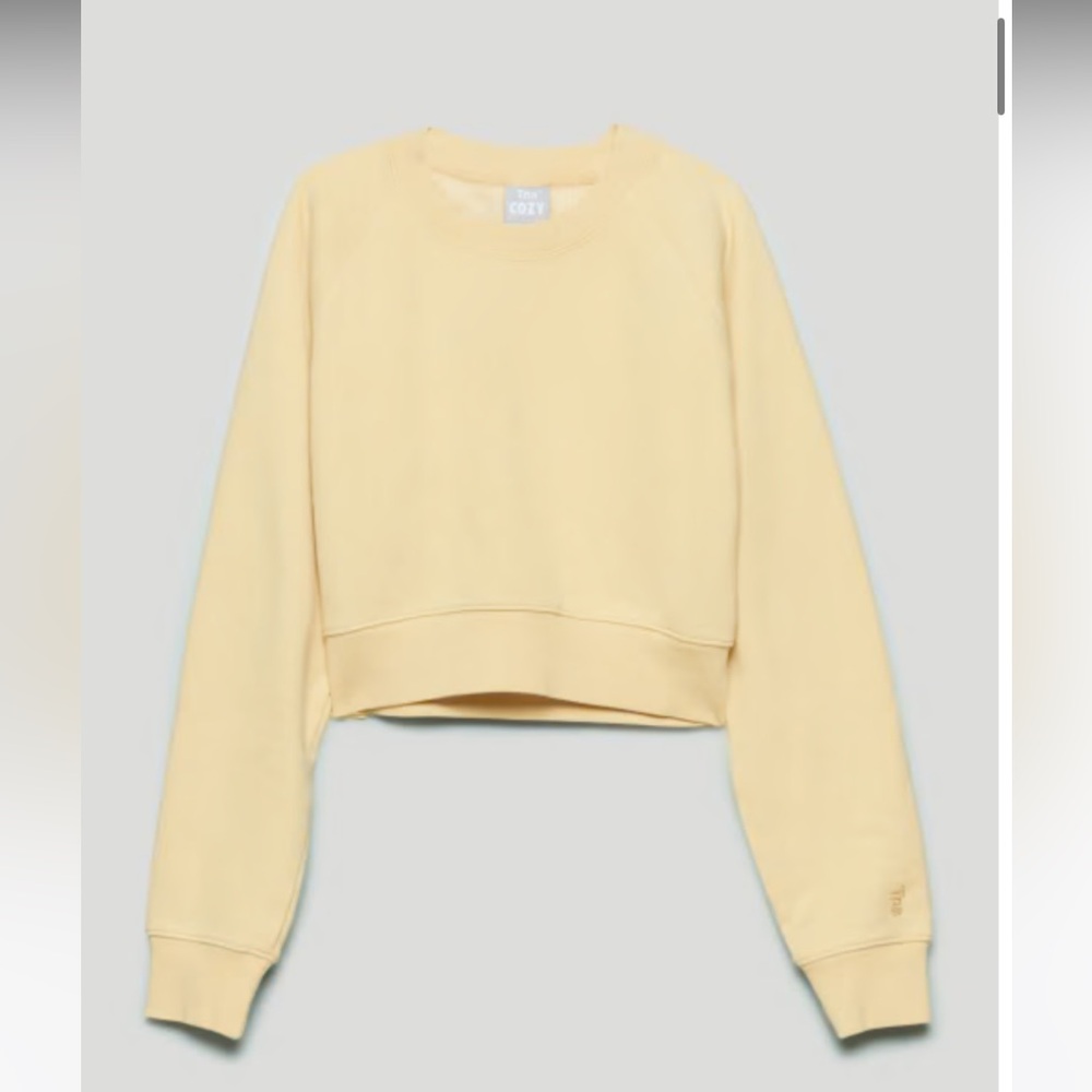 Aritzia TNA fleece perfect raglan sweatshirt